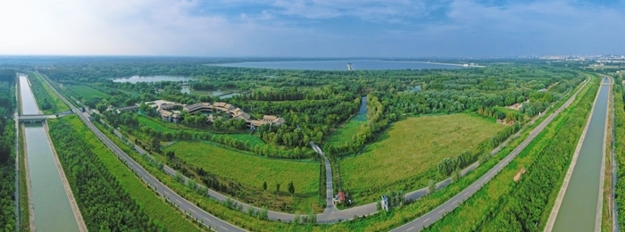 初秋画卷徐徐展开，济西湿地引客来