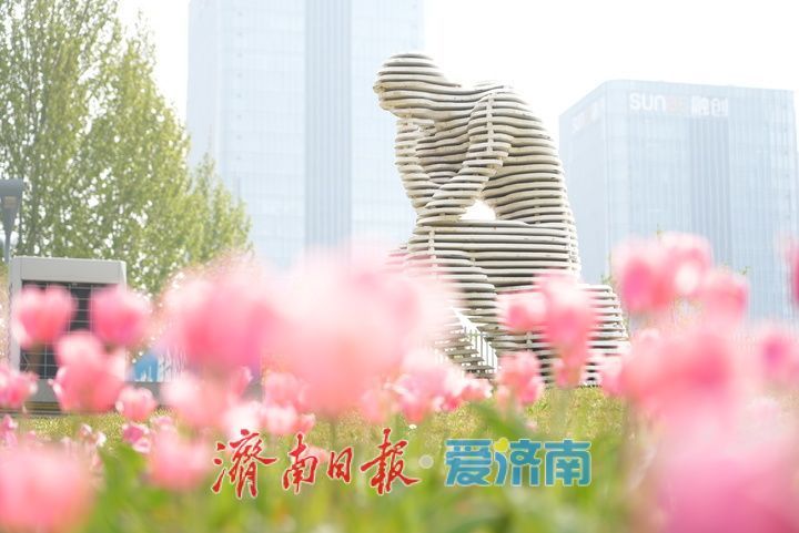 泉城人才公园郁金香盛放，春日氛围感拉满