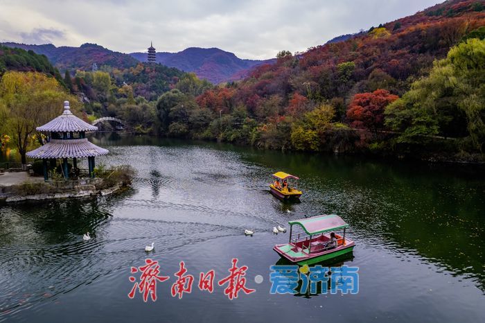 济南红叶谷氛围感拉满！沉浸式感受“万山红遍”的限定浪漫