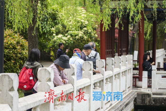谷雨时节 济南珍珠泉泉涌如珠