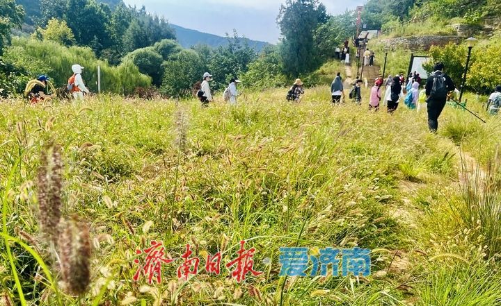 登高龙洞览秋色 乐享徒步好时光