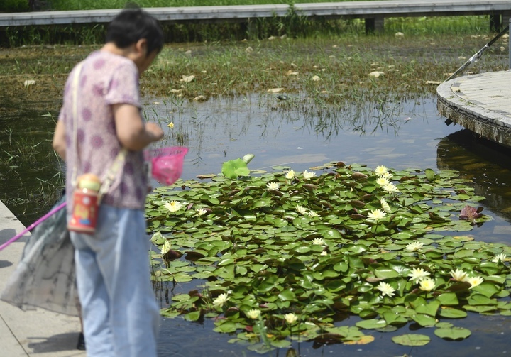 夏日休闲好去处，打卡最美华山湖