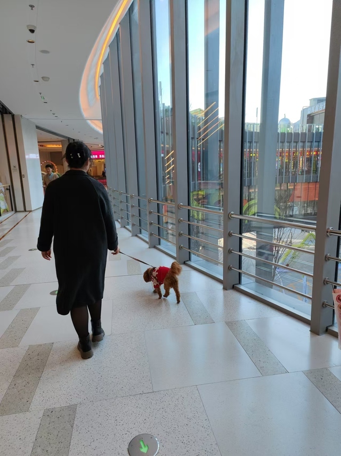 当餐饮店开始对宠物友好