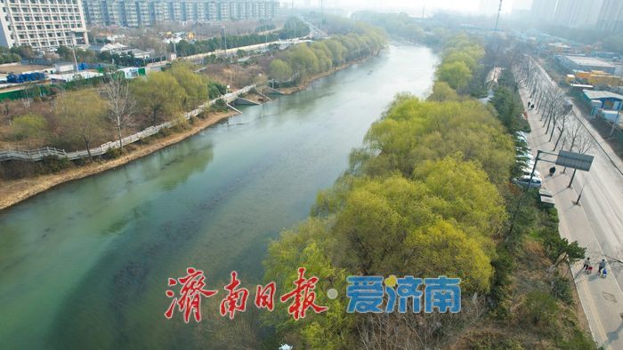小清河春色浓 春满泉城生态廊