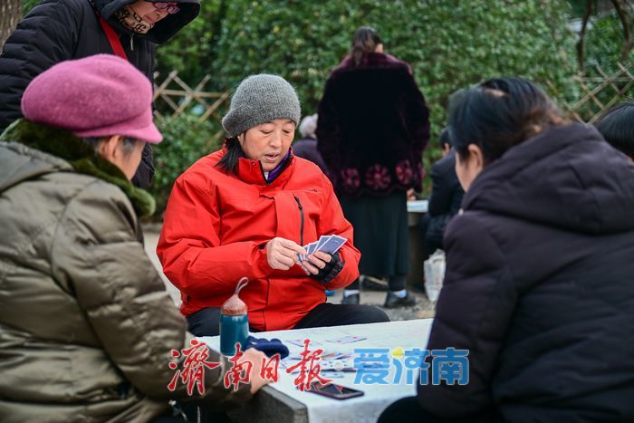 一年四季 泉在济南丨暖身又暖心 中山公园成市民冬日打卡地