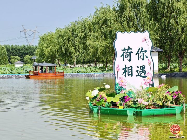 水乡有荷香 风华正当时  2026年白云湖生态文化旅游季盛大开幕