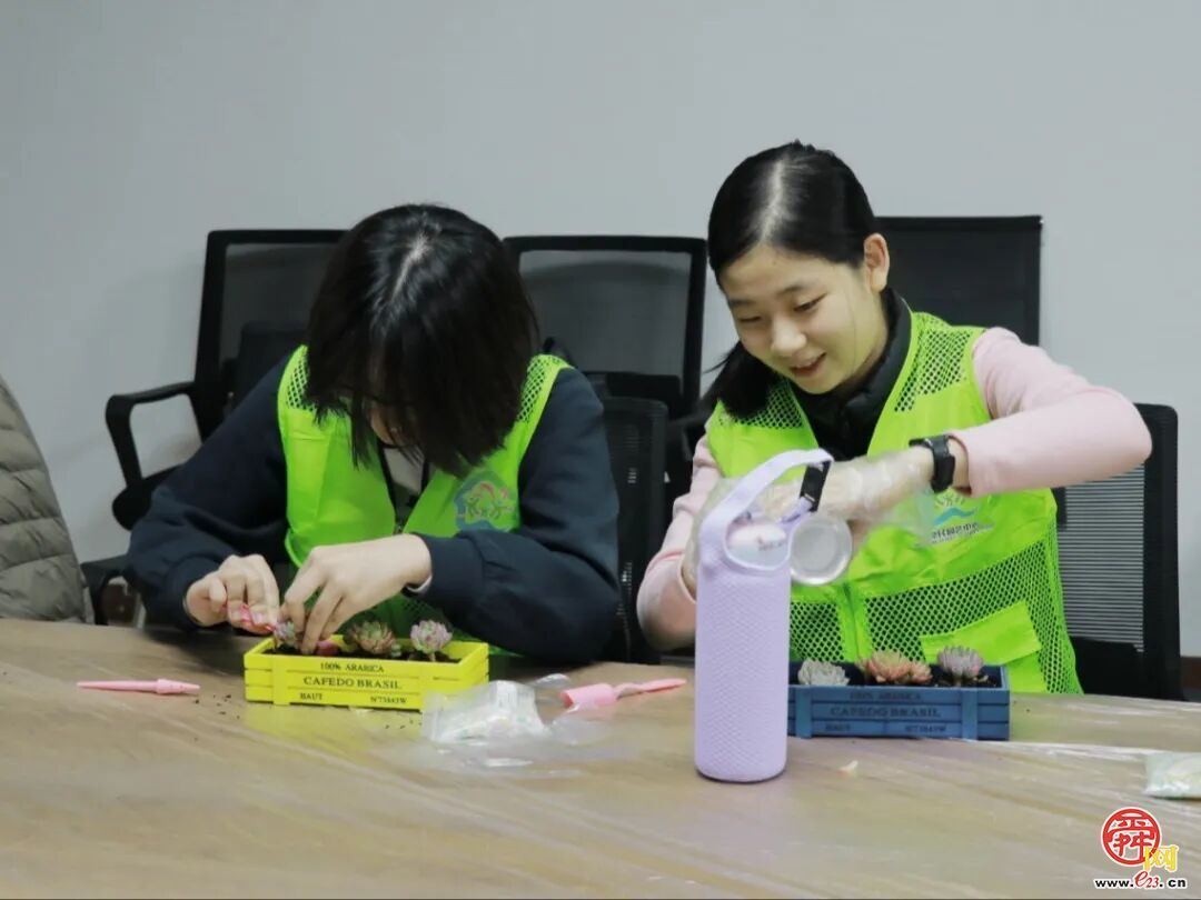 指尖塑绿意，公益暖泉城——济南泉民园艺中心联合辰星公益开展多肉DIY温暖陪伴活动