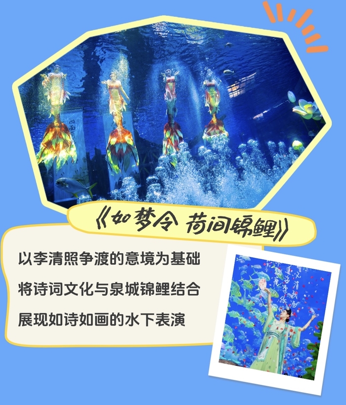 济南“胖人鱼”登上央视《开讲啦》，与撒贝宁互动