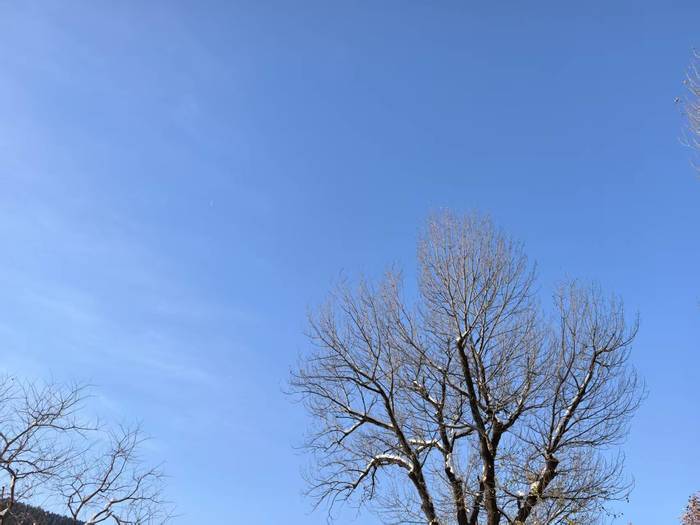 立冬以来山东最大规模雨雪天气基本结束，陆续开启“大回暖”