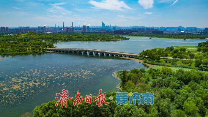 一年四季 泉在济南｜暑气未消立秋至 华山湖绿意盎然生机无限