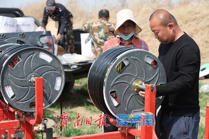 黄河北岸麦田 “滴灌解渴” 科技赋能夏粮增产