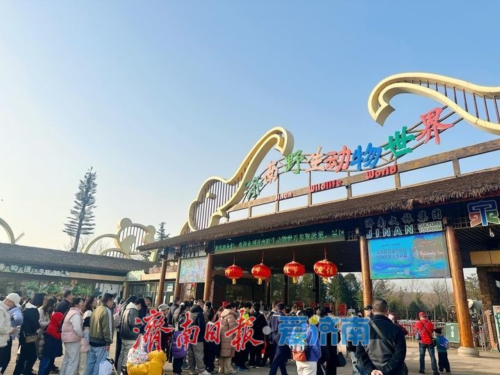 新春走基层｜客流高峰遇暖心坚守 济南野生动物世界初五迎春服务“不打折”