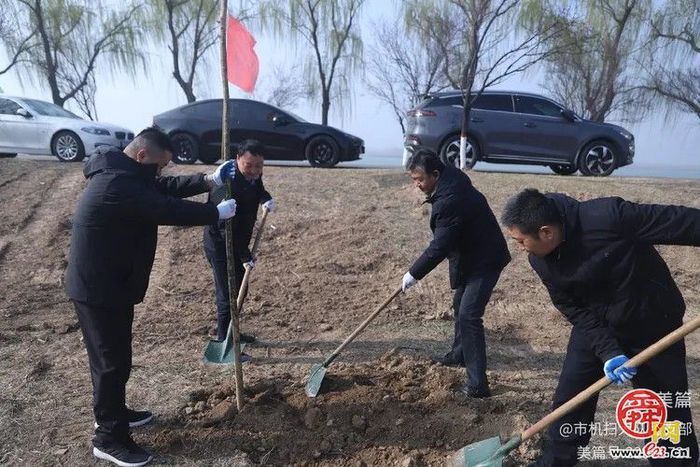 植绿护绿·共筑美好家园  济南市机械化清扫大队组织开展义务植树活动