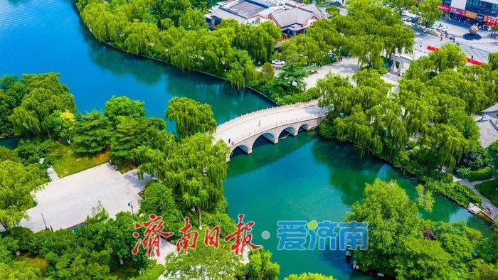 藕花年年盛 同作济南人——跟着元好问遍览泉城秋光