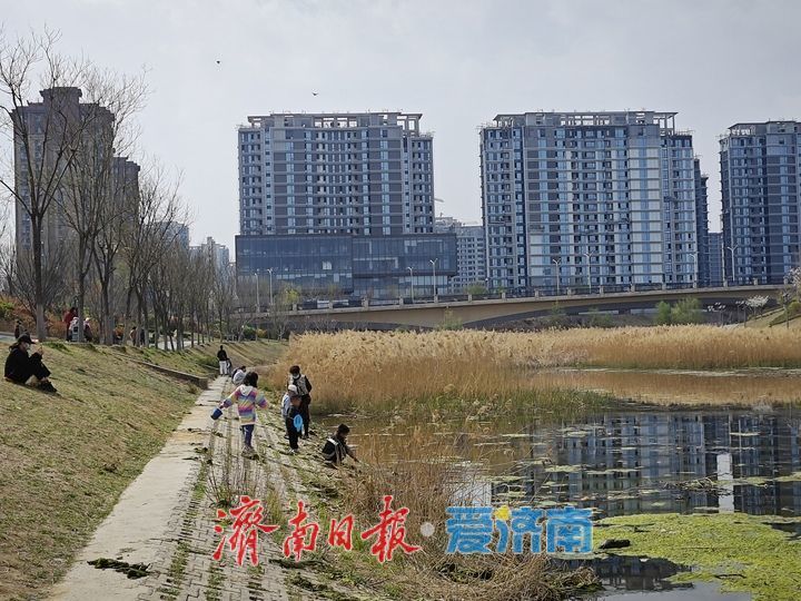 韩仓河景观带春意浓 生态美景成市民休闲好去处