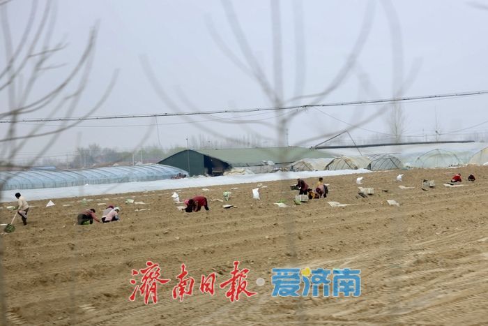 春雨润田农事忙