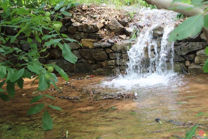 赏泉私藏地 乡村慢时光——解锁曹范野趣十足的“清凉地儿”
