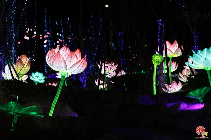 亮灯映泉城 文旅新标启新春 济南如梦令乐园李清照花灯点亮千年风雅