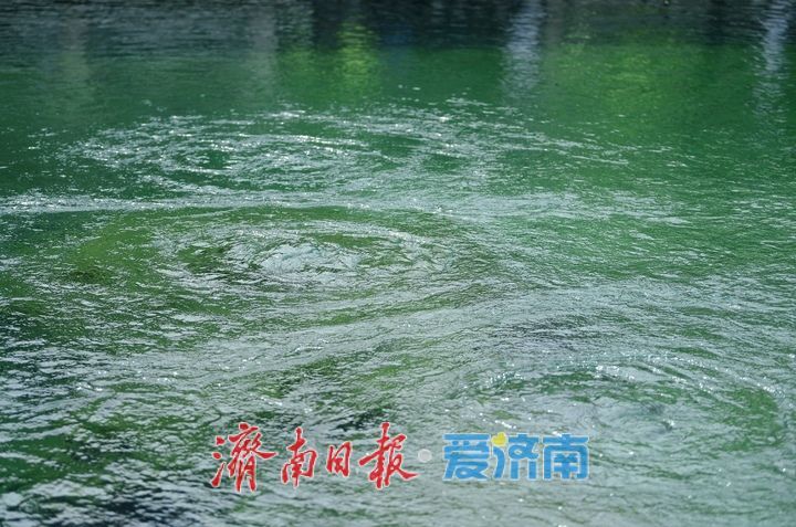 一年四季 泉在济南｜两天上涨11厘米，济南趵突泉水位逼近28米