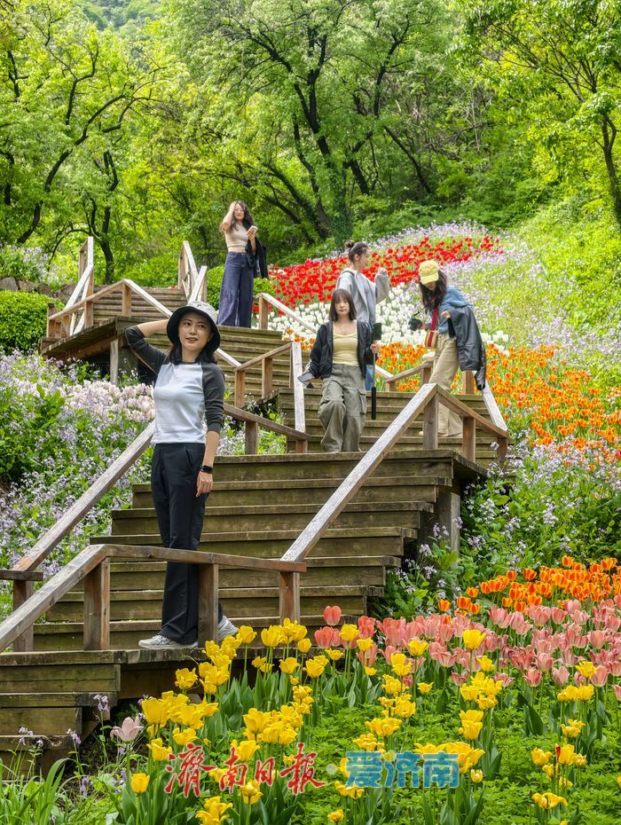 亮相央视获点赞，济南红叶谷邀您打卡花海盛宴