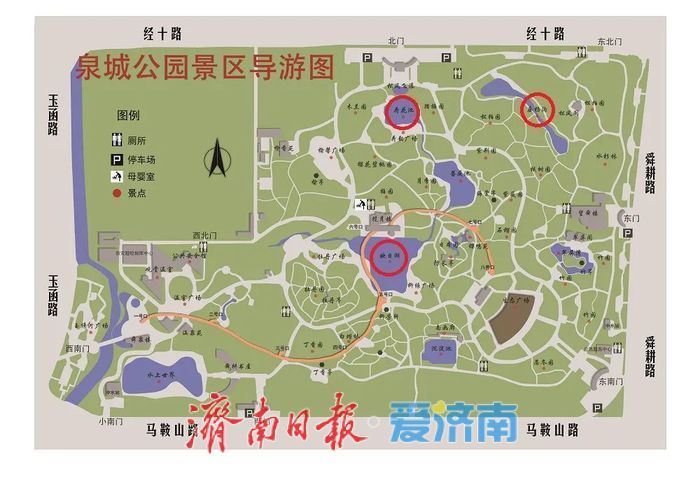 一年四季 泉在济南丨夏日荷花之约，快来泉城公园