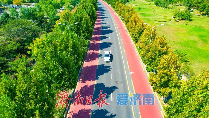 济南光华大道邂逅初秋醉人风光