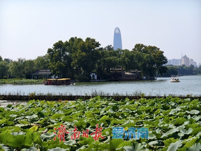 秋风送爽满明湖 一城秋色引游人