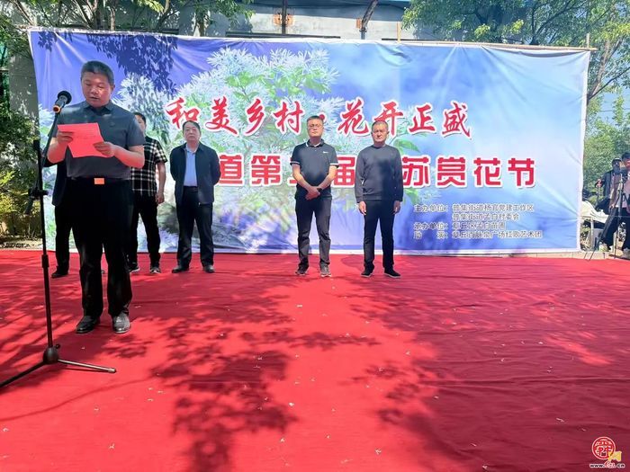 普集街道杨官党建工作区第二届流苏赏花节开幕啦！