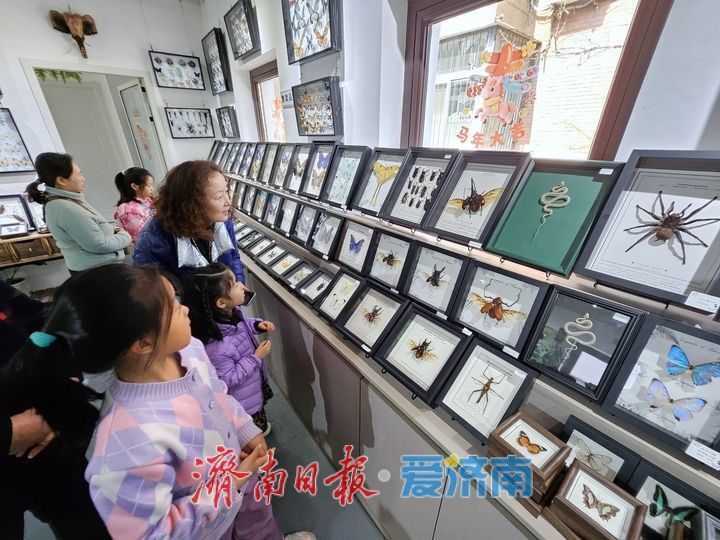 一年四季 泉在济南丨老街藏秘境 潮趣引客来