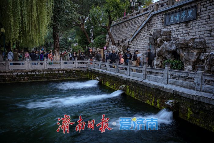一年四季 泉在济南丨济南黑虎泉水位上涨，傍晚尽显幽静典雅美