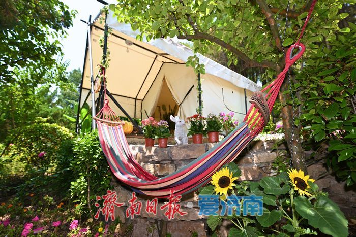 藏翠群山纳清凉！ 红叶谷打造夏日露营新体验