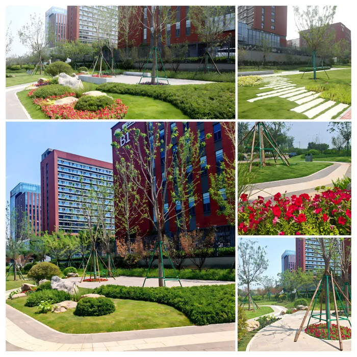 济南再增13处城市公园