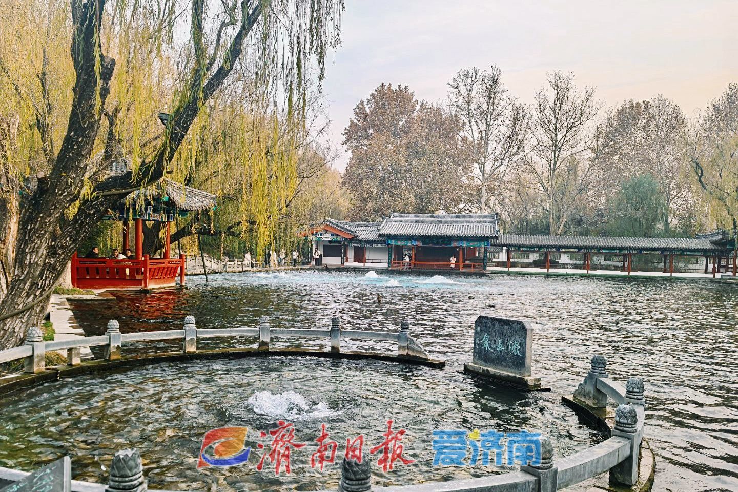 2024年末冷空气来了！今日济南最高温仅2℃，月底暖意迎新年