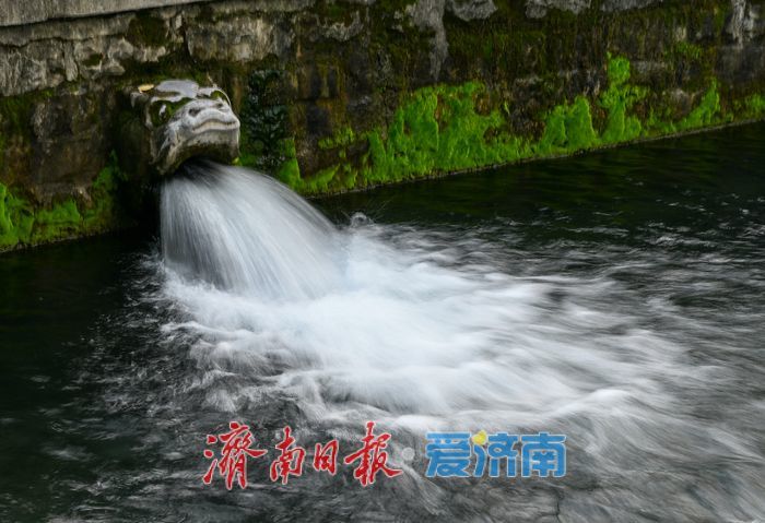  一年四季 泉在济南丨护城河水位明显上涨 泉水景观换新颜