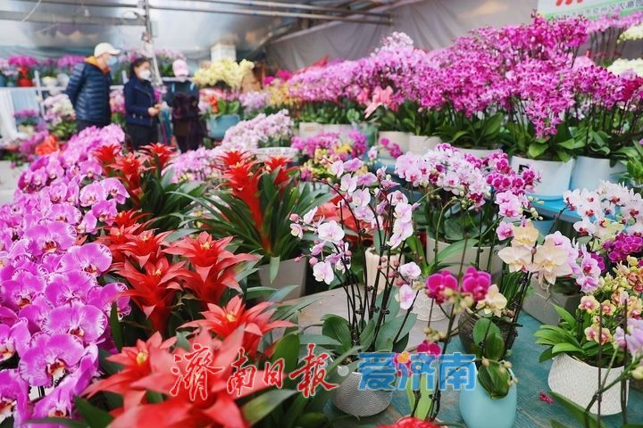 元旦临近 鲜花走俏