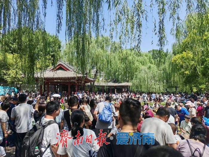 一年四季 泉在济南丨泉水边的夏日狂欢 五龙潭成童趣清凉大本营