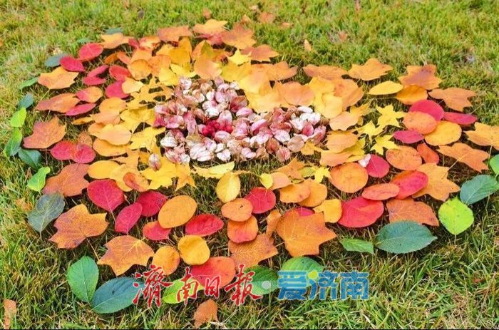 赴一场浪漫之约，济南公园景区最美落叶景观上线