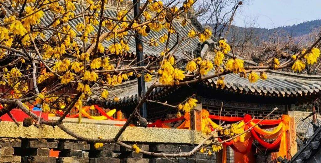 春入泰山普照寺