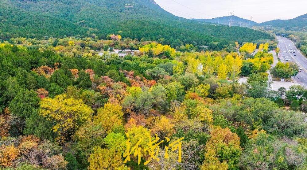 一年四季 泉在济南丨旅游路 “调色盘”上线 济南佛慧山北门层林尽染如诗如画