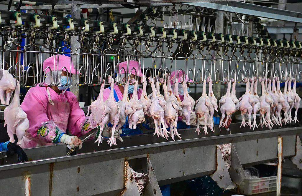 灵活上班、弹性工作！“妈妈岗”来了！