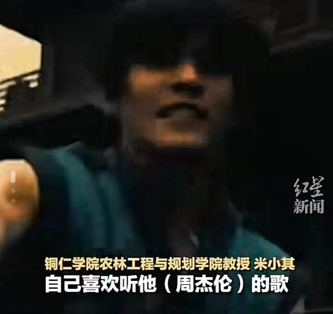 稻香、龙拳、星晴……新种蜘蛛“歌单式”命名,“你的歌迷已经是科学家了!”