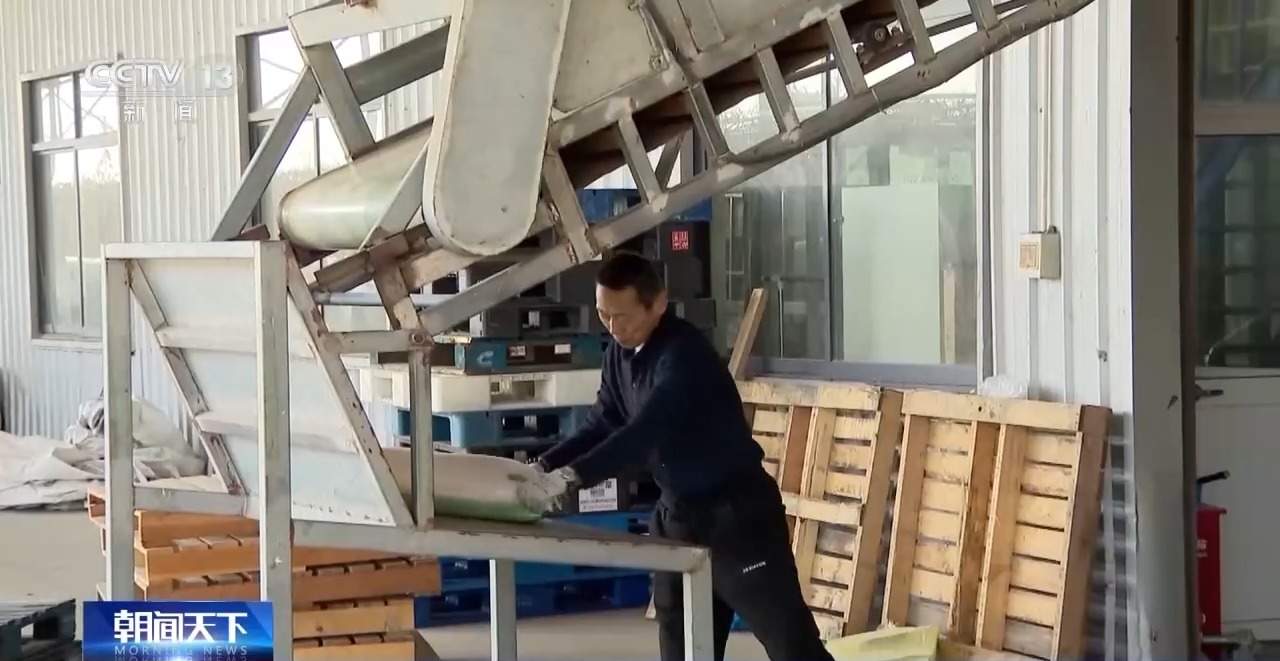 2023年秋粮收购进入高峰期 各地多举措保障粮农粮出手钱到手