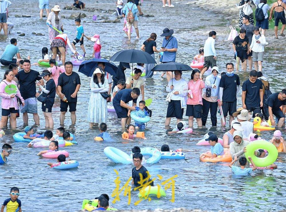 泉城中伏迎高温 济南市民小型湿地里戏水消夏
