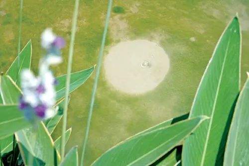 千年“灵”泉展新姿