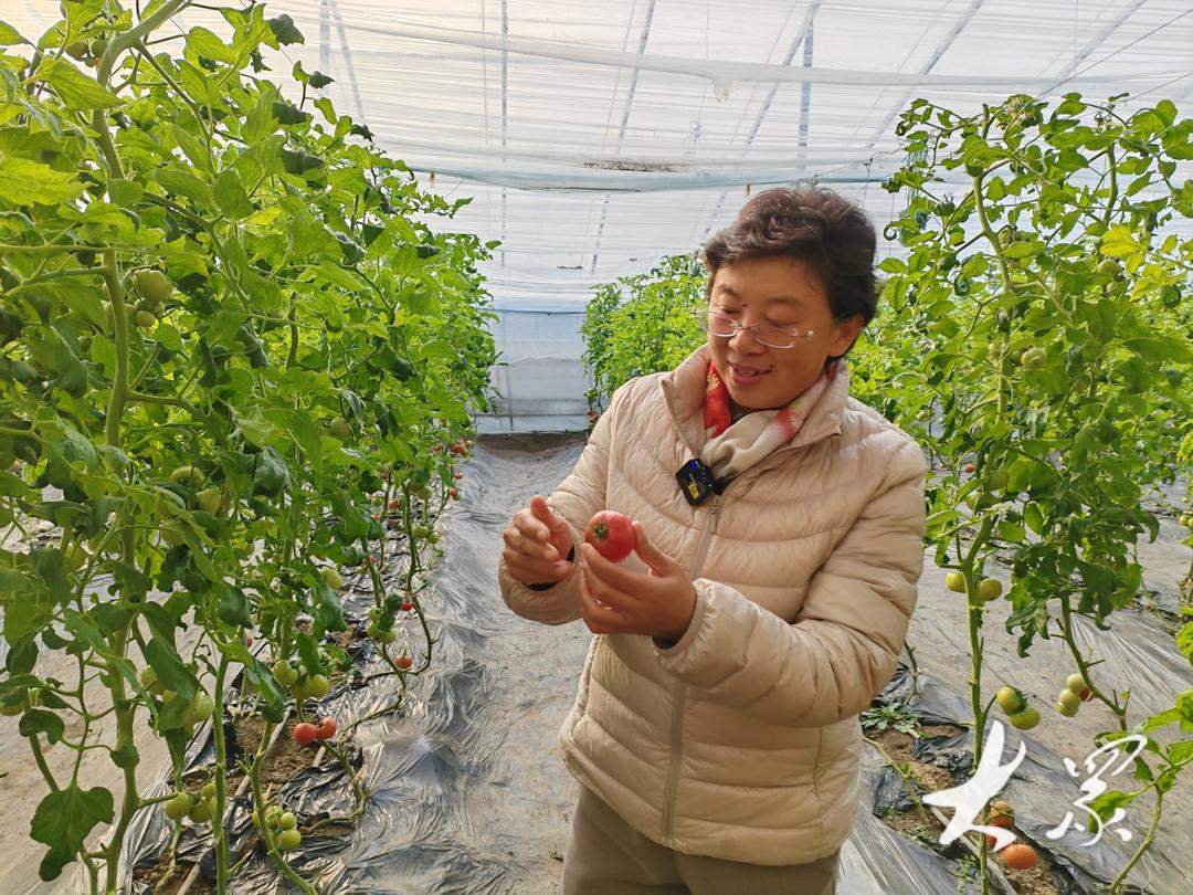 “小时候的味道！买！”这个口感番茄“有点火”