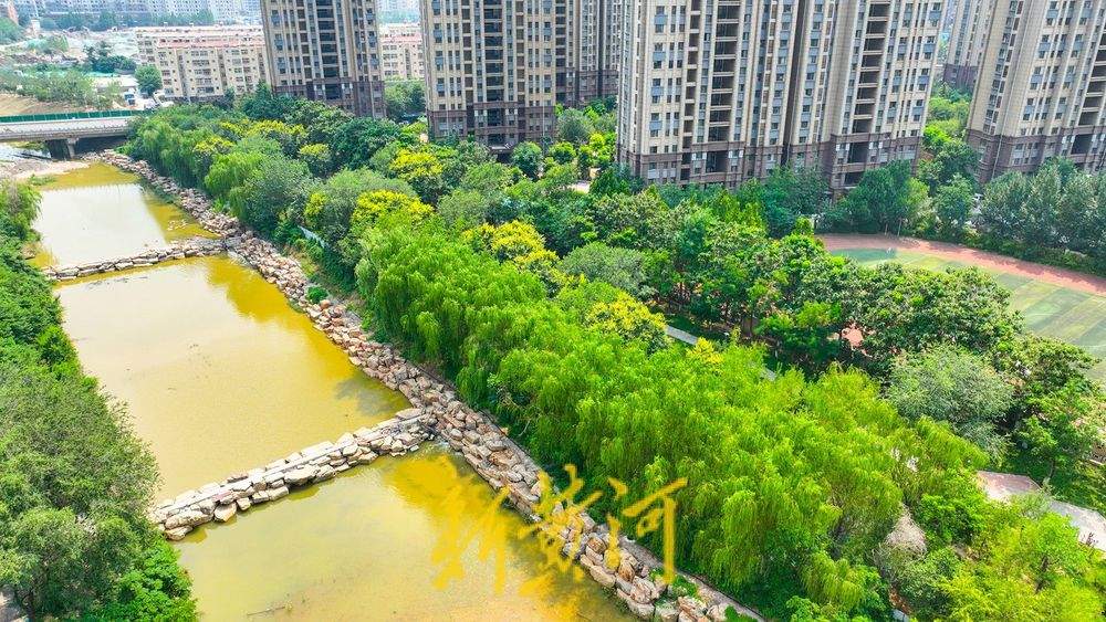 大辛河提升改造 泄洪河道变身景观河