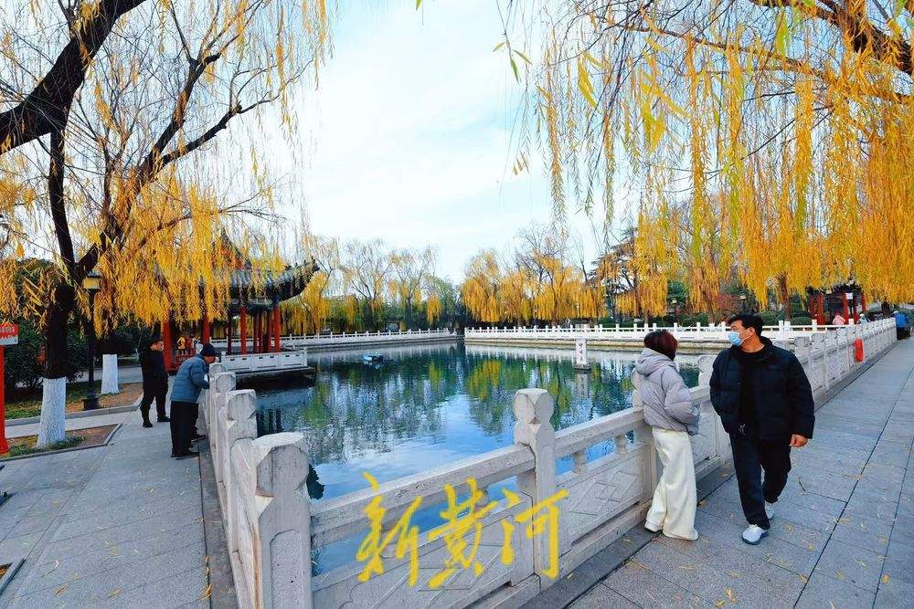 济南珍珠泉畔杨柳轻垂，尽显冬日胜景