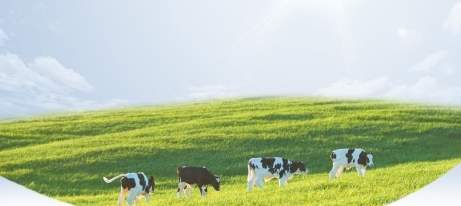 金领冠珍护源初奶粉：宝宝自护力的秘密武器