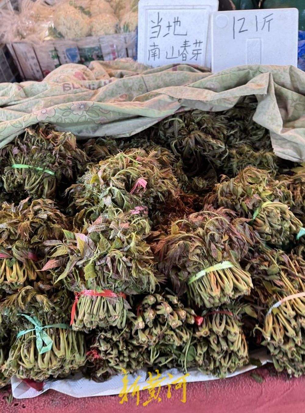 香椿价格大幅下降,市民实现“香椿自由” 医生建议每次食用不超过100克