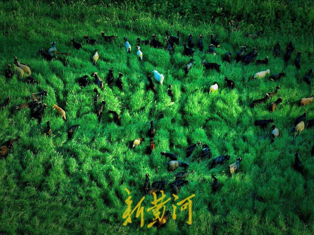 傍晚的济南南部山区版“阿勒泰” 宁静而壮美